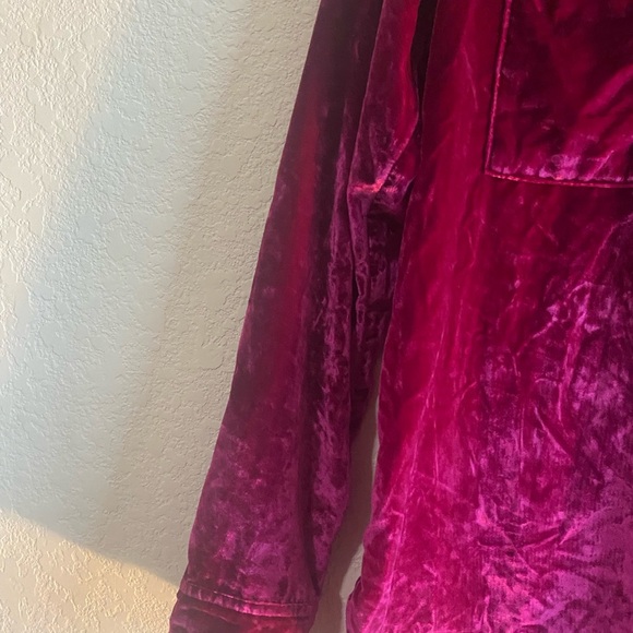 Anthropologie Pilcro Hadley Relaxed Pink Velvet Button Down Boho Shirt Sz 2 - Picture 8 of 14